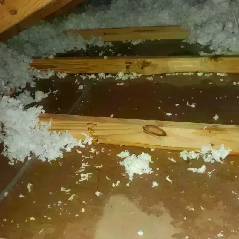 Attic Water Damage in Smithville-Sanders, IN